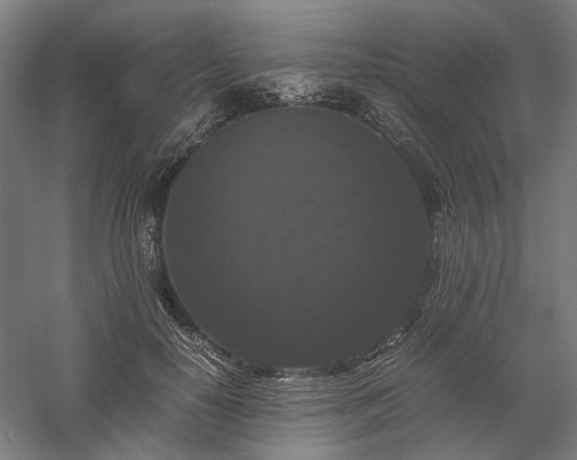 X0000058100650200509231001