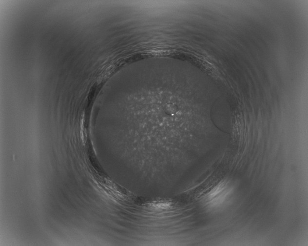 X0000058100651200509231001