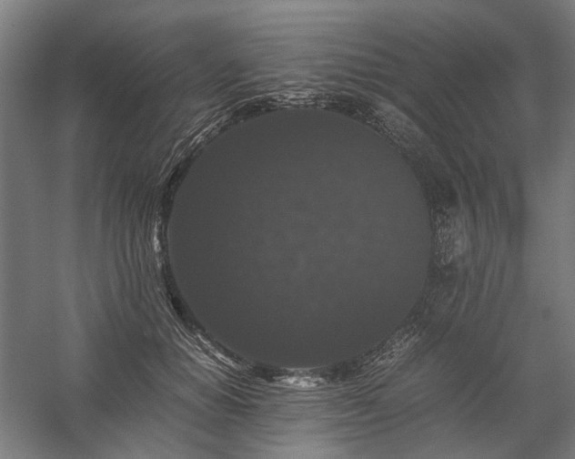 X0000058100654200509231001