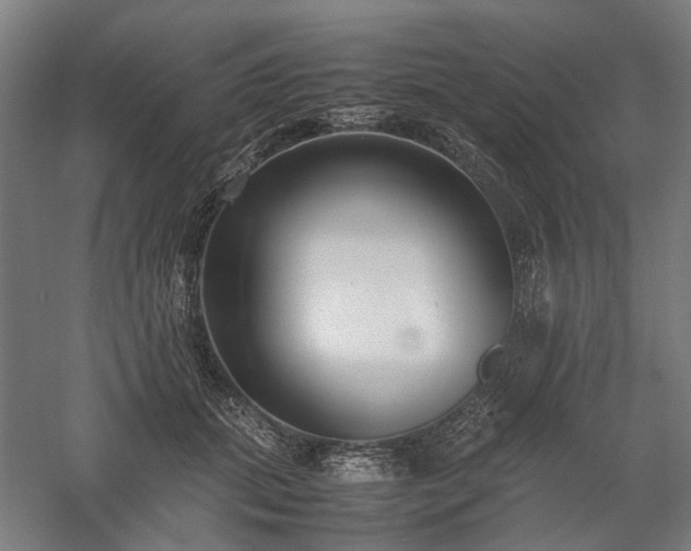 X0000058100655200509231001