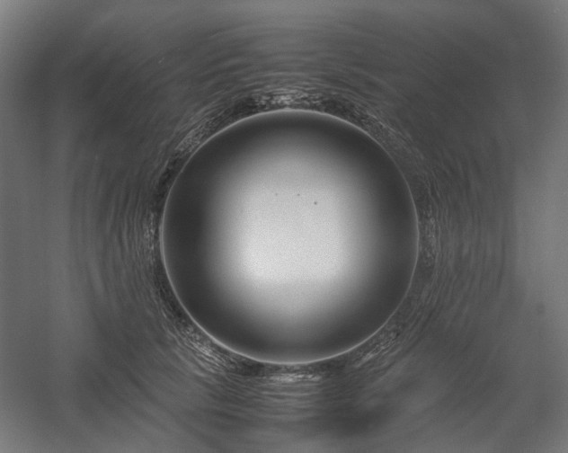 X0000058100657200509231001