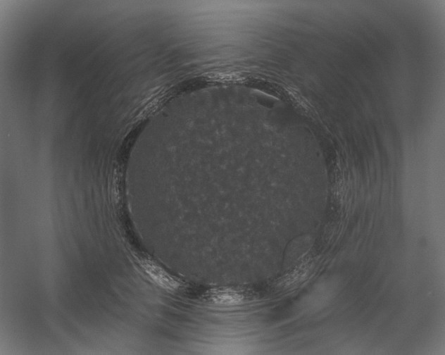 X0000058100658200509231001
