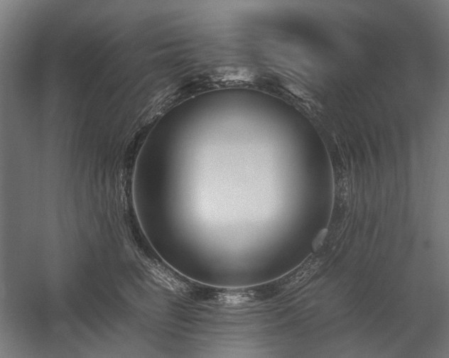 X0000058100662200509231001