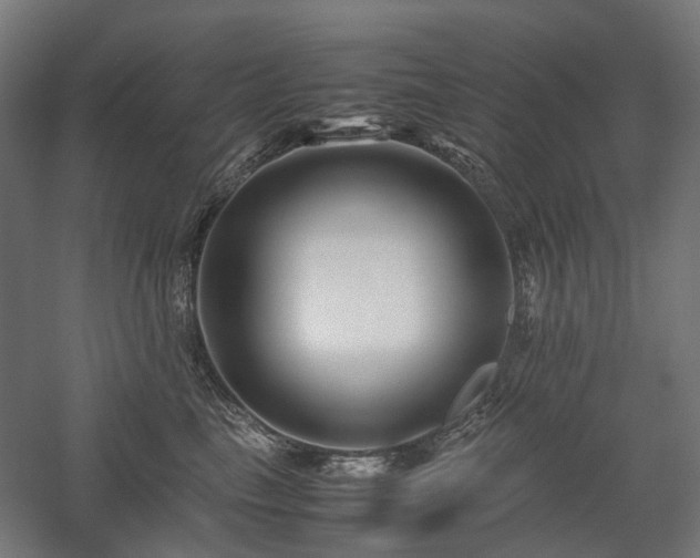 X0000058100665200509231001