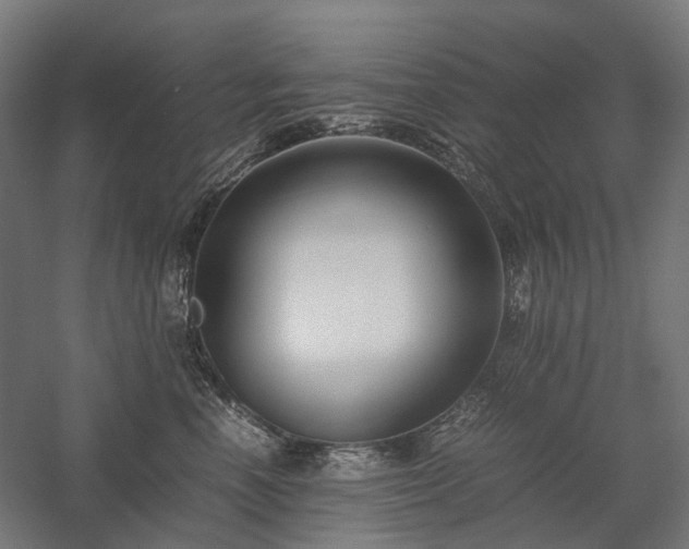X0000058100666200509231001