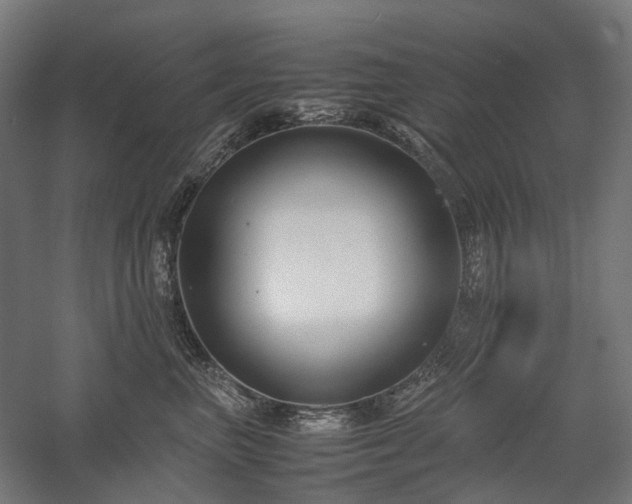 X0000058100667200509231001