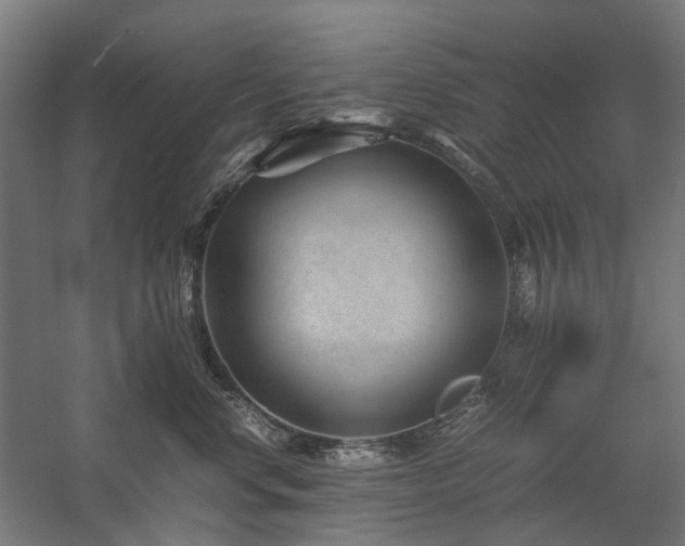 X0000058100668200509231001