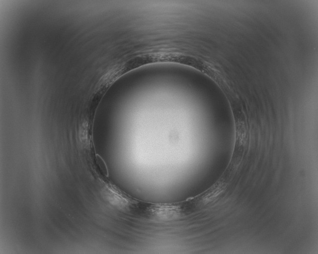 X0000058100670200509231001
