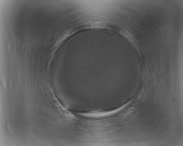 X0000058100673200509231000