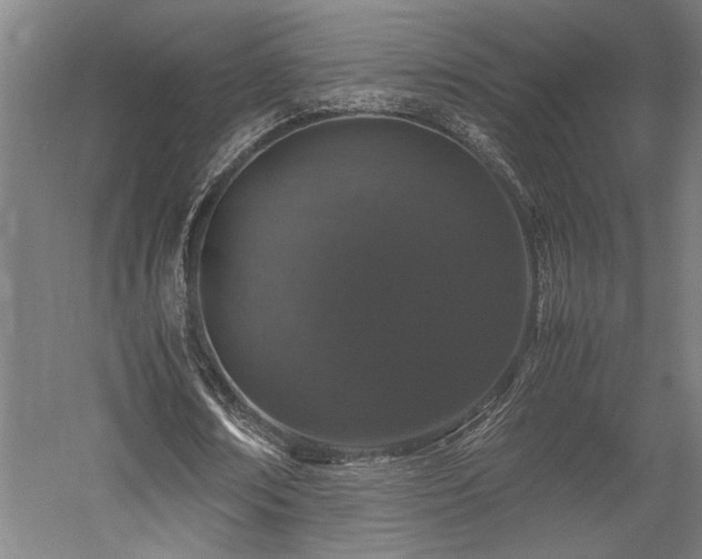 X0000058100674200509231000