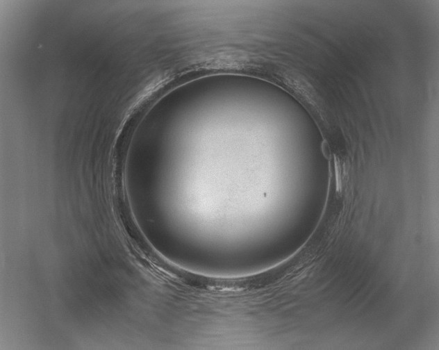 X0000058100675200509231000