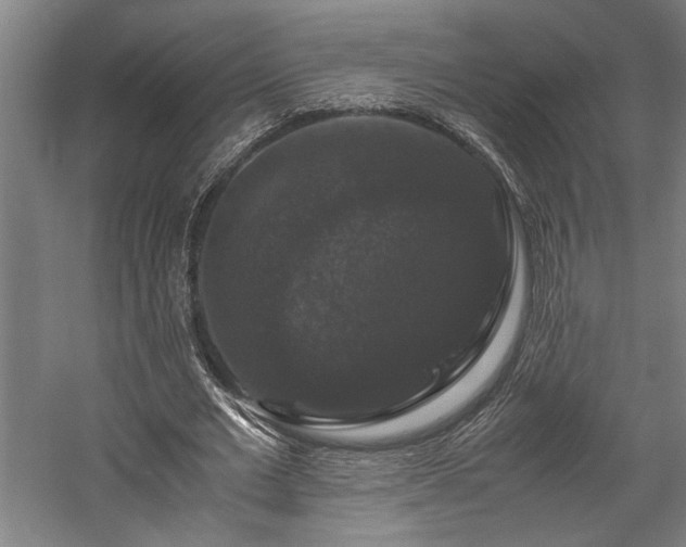 X0000058100677200509231000