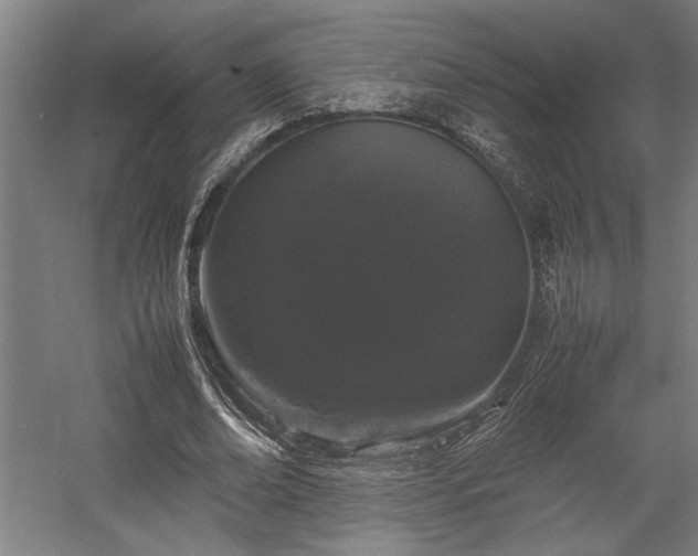 X0000058100678200509231000