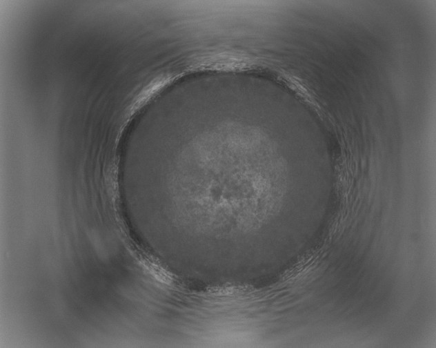 X0000058100679200509231000
