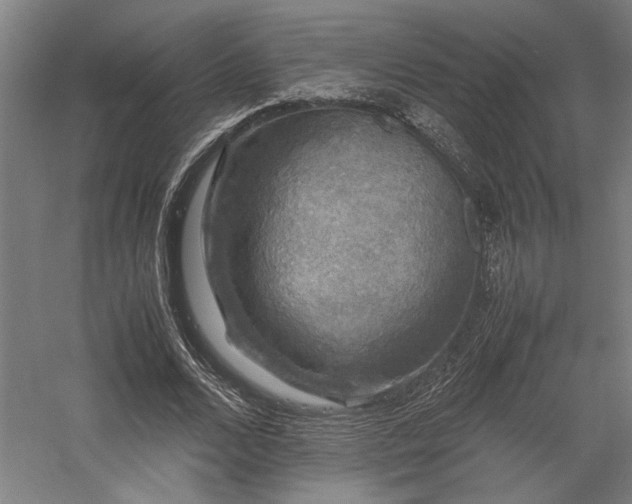 X0000058100680200509231000