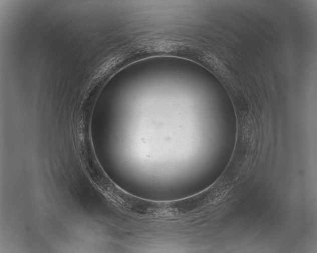 X0000058100683200509231000