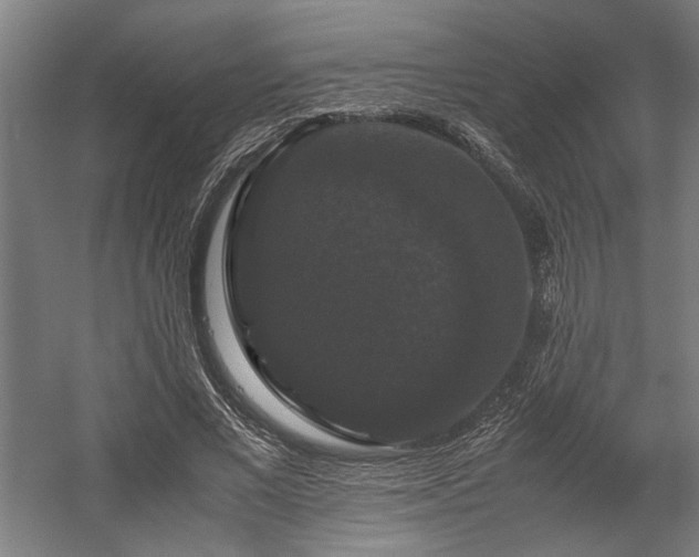 X0000058100685200509231000