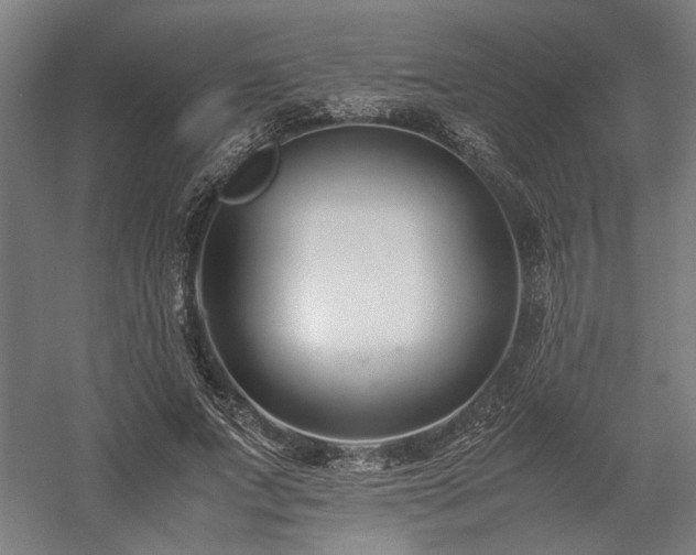 X0000058100687200509231000