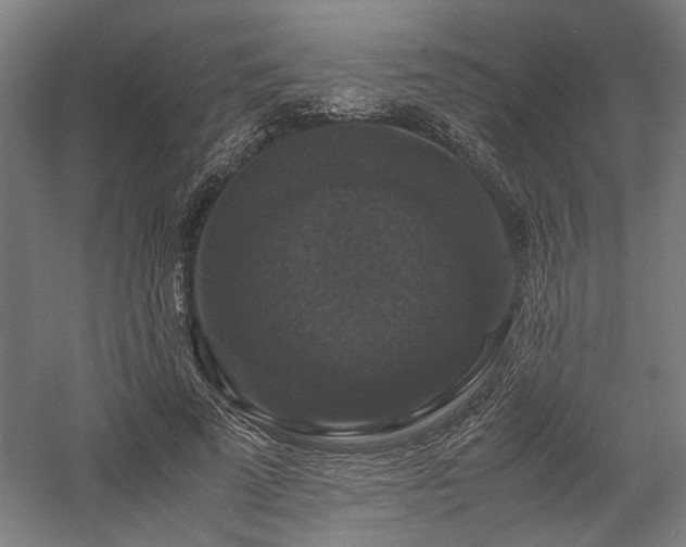 X0000058100689200509231000
