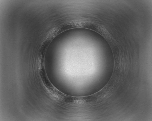 X0000058100694200509231000
