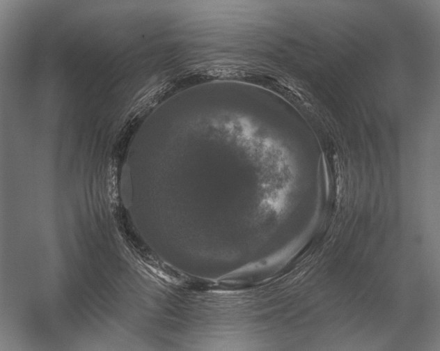 X0000058100696200509231000
