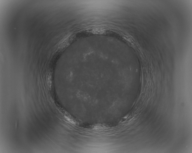 X0000058100697200509231000
