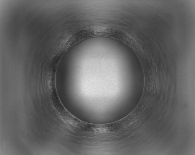 X0000058100698200509231000