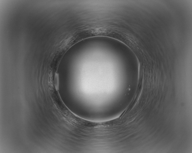 X0000058100700200509231000