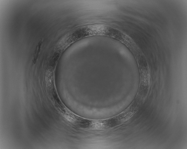 X0000058100701200509231000
