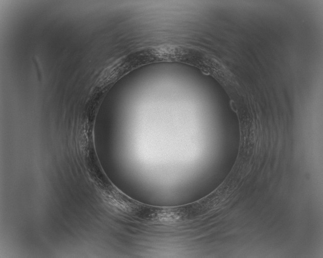 X0000058100702200509231000