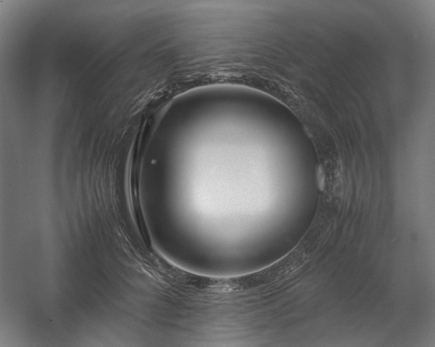 X0000058100704200509231000
