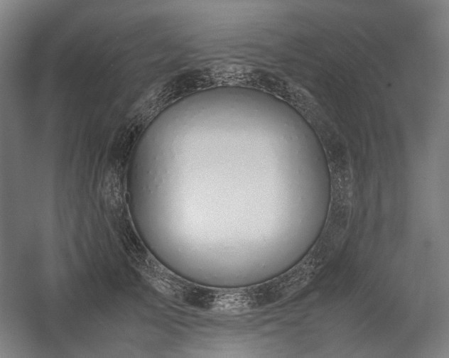 X0000058100705200509231000