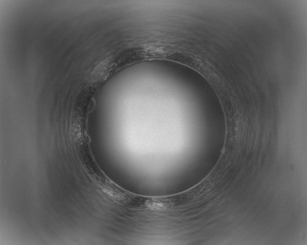 X0000058100706200509231000
