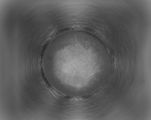 X0000058100712200509231000