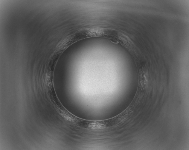 X0000058100714200509231000