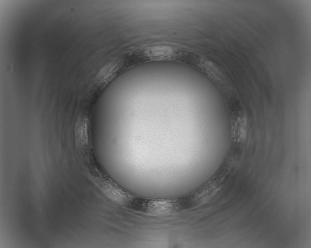 X0000058100717200509231000