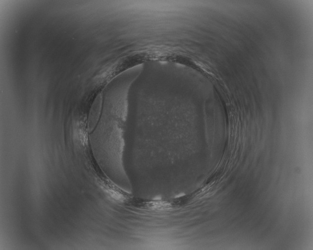 X0000058100719200509231000