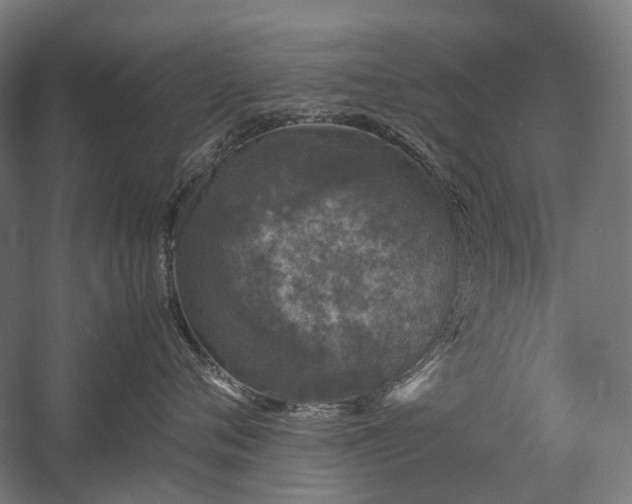 X0000058100720200509231000