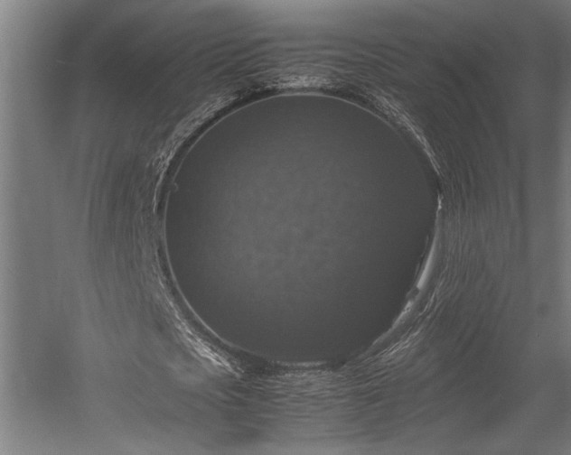 X0000058100721200509230959