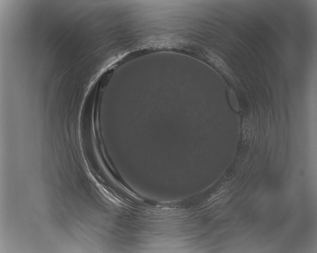 X0000058100722200509230959