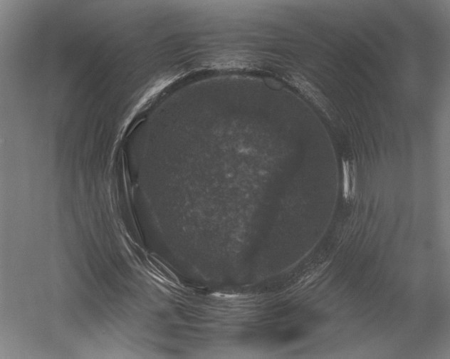 X0000058100723200509230959