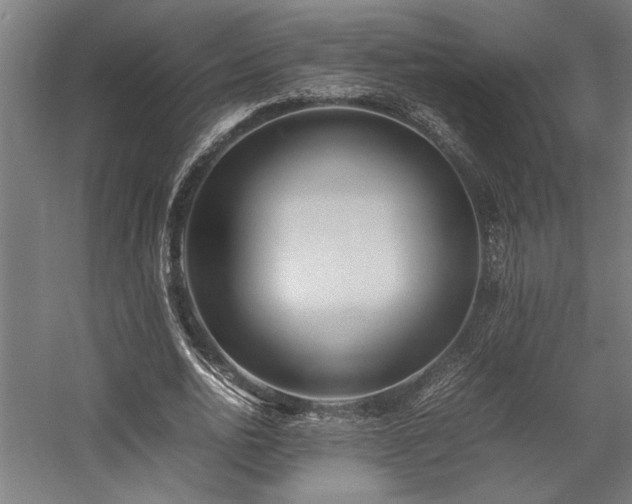 X0000058100726200509230959