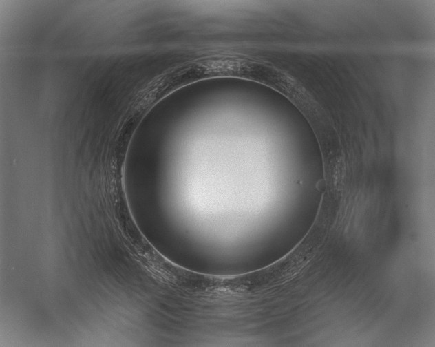 X0000058100737200509230959