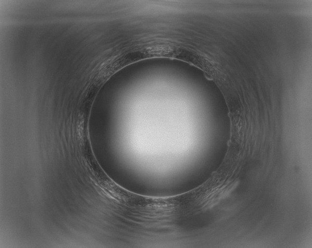 X0000058100745200509230959