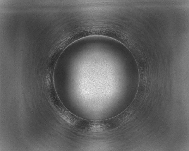 X0000058100746200509230959