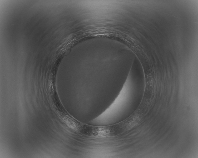 X0000058100754200509230959