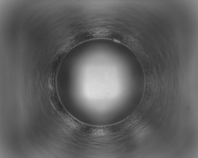 X0000058100755200509230959