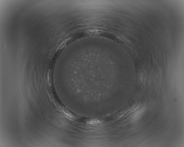 X0000058100759200509230959