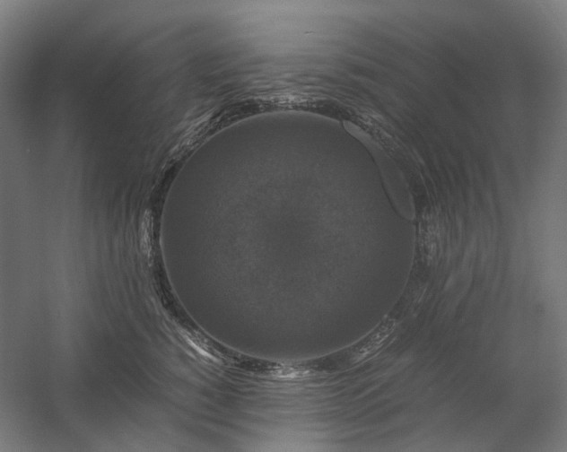 X0000058100760200509230959
