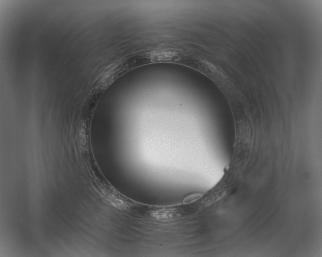 X0000058100761200509230959